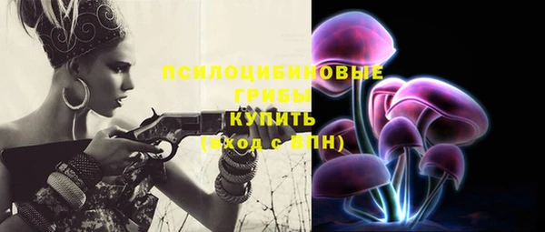 ПСИЛОЦИБИНОВЫЕ ГРИБЫ Баксан
