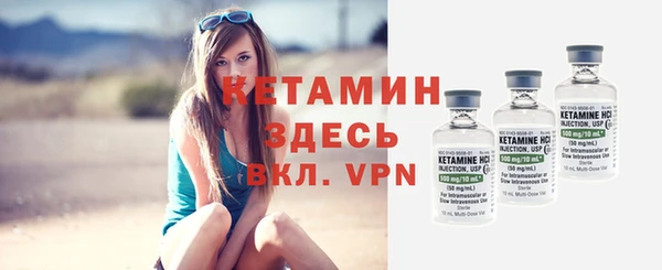 сатива Балахна