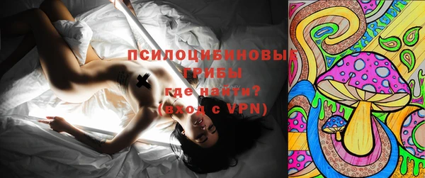 ПСИЛОЦИБИНОВЫЕ ГРИБЫ Баксан