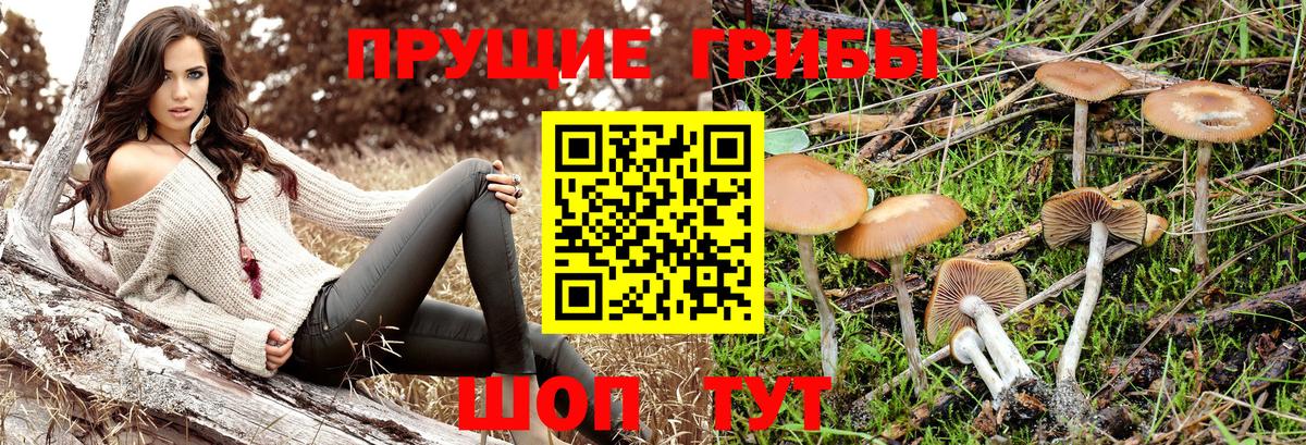Бутурлиновка  Галлюциногенные грибы ЛСД  сколько стоит  Вход с VPN 