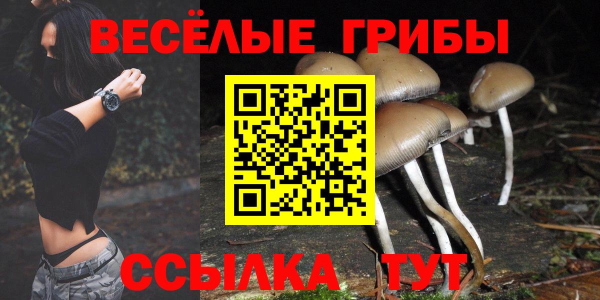 Псилоцибиновые грибы Cubensis Бутурлиновка