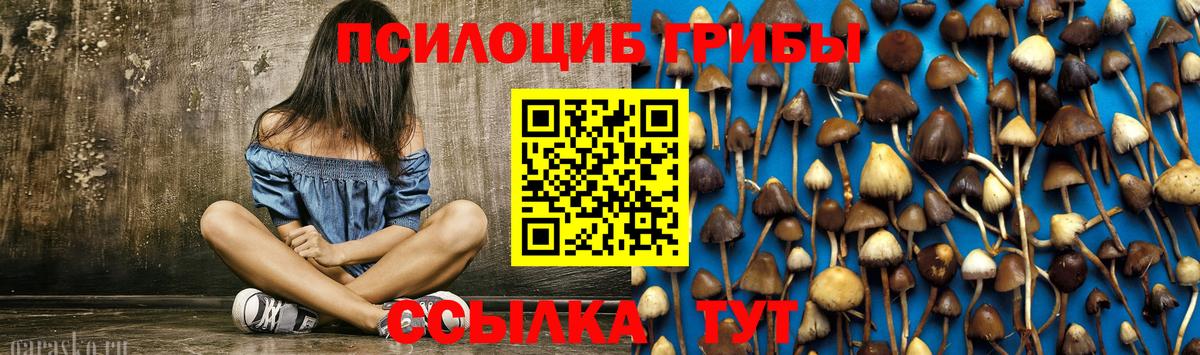 Галлюциногенные грибы MAGIC MUSHROOMS  Бутурлиновка  Псилоцибиновые грибы прущие грибы 